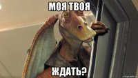 моя твоя ждать?