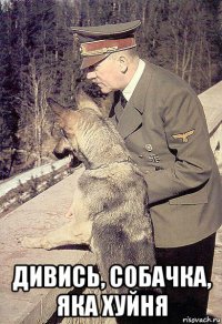  дивись, собачка, яка хуйня
