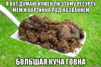 я вот думаю нужен ли этому ресурсу мем и картинка под названием большая куча говна