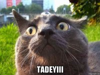  tadeyiii