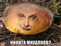  никита михалков?