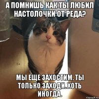 а помнишь как ты любил настолочки от реда? мы еще захостим. ты только заходи. хоть иногда.