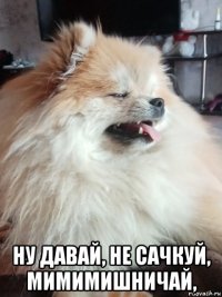  ну давай, не сачкуй, мимимишничай,