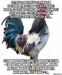 петух! ты являешься живым организмом! если в тебя попадает вирус, то твой организм на это начинает реагировать ответной реакцией, вырабатывает антитела, итд... если вирус натыкается на антитела - то он тоже живой организм, он на дискомфорт тоже реагировать начинает... это как 2+2...