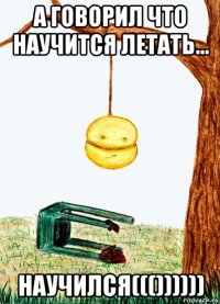 а говорил что научится летать... научился((())))))