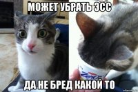 может убрать эсс да не бред какой то