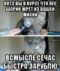 котэ вы в курсе что пёс шарик жрёт из вашей миски всмысле сечас быстро зарублю