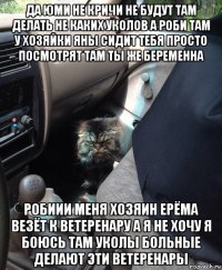 да юми не кричи не будут там делать не каких уколов а роби там у хозяйки яны сидит тебя просто посмотрят там ты же беременна робиии меня хозяин ерёма везёт к ветеренару а я не хочу я боюсь там уколы больные делают эти ветеренары