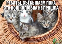 ребяты, съёбываем пока эта кошколюбка не пришла 