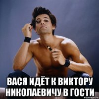  вася идёт к виктору николаевичу в гости