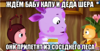 ждём бабу капу и деда шера они прилетят из соседнего леса