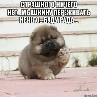 страшного ничего нет...мышкину переживать нечего...буду рада... 