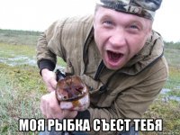  моя рыбка съест тебя