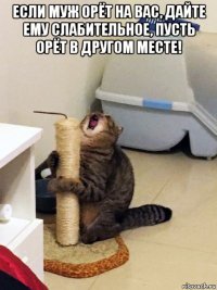 если муж орёт на вас, дайте ему слабительное, пусть орёт в другом месте! 