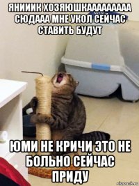 янииик хозяюшкааааааааа сюдааа мне укол сейчас ставить будут юми не кричи это не больно сейчас приду