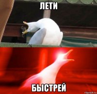 лети быстрей