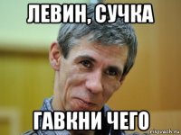 левин, сучка гавкни чего