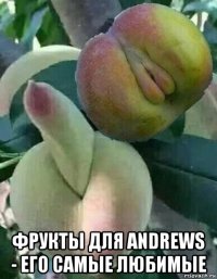  фрукты для andrews - его самые любимые