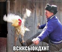  вскксыокдхнт