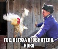  год петуха оговнителя, коко