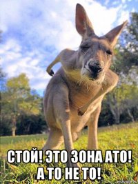  стой! это зона ато! а то не то!