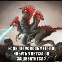  если петух возьмёт что нибуть у петуха,он зашкватится?