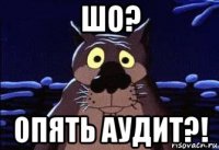 шо? опять аудит?!