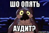 шо опять аудит?