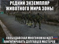 редкий экземпляр животного мира зоны свободавская многоножка идёт анигилировать долгавцев мастеров