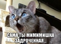  сама ты мимимишка задроченная...