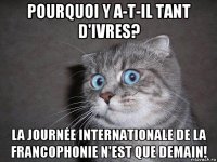 pourquoi y a-t-il tant d'ivres? la journée internationale de la francophonie n'est que demain!