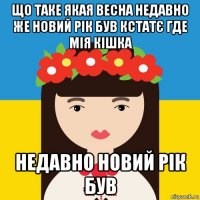 що таке якая весна недавно же новий рiк був кстатє где мiя кішка недавно новий рiк був