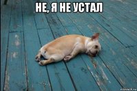 не, я не устал 