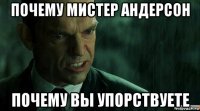 почему мистер андерсон почему вы упорствуете