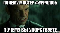 почему мистер фуррилюб почему вы упорствуете