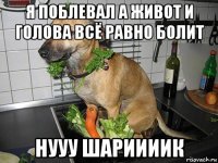 я поблевал а живот и голова всё равно болит нууу шариииик