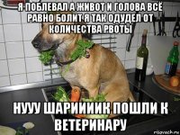 я поблевал а живот и голова всё равно болит я так одудел от количества рвоты нууу шариииик пошли к ветеринару