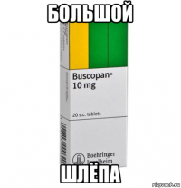 большой шлёпа