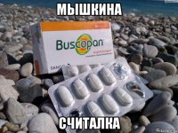 мышкина считалка