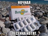 ночная песенка котят