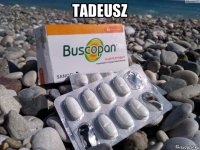tadeusz 
