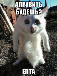 апрувить будешь? епта