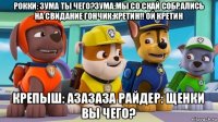 рокки: зума ты чего?зума:мы со скай собрались на свидание гончик:кретин!! ой кретин крепыш: азазаза райдер: щенки вы чего?