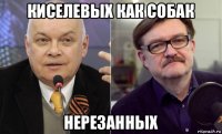 киселевых как собак нерезанных