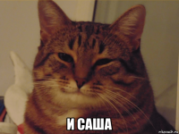  и саша