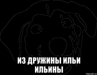  из дружины ильи ильины