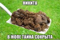 никита в жопе тайна сокрыта
