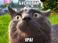 бускопан ура!