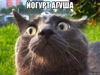 йогурт агуша 