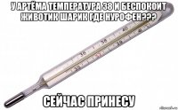 у артёма температура 38 и беспокоит животик шарик где нурофен??? сейчас принесу